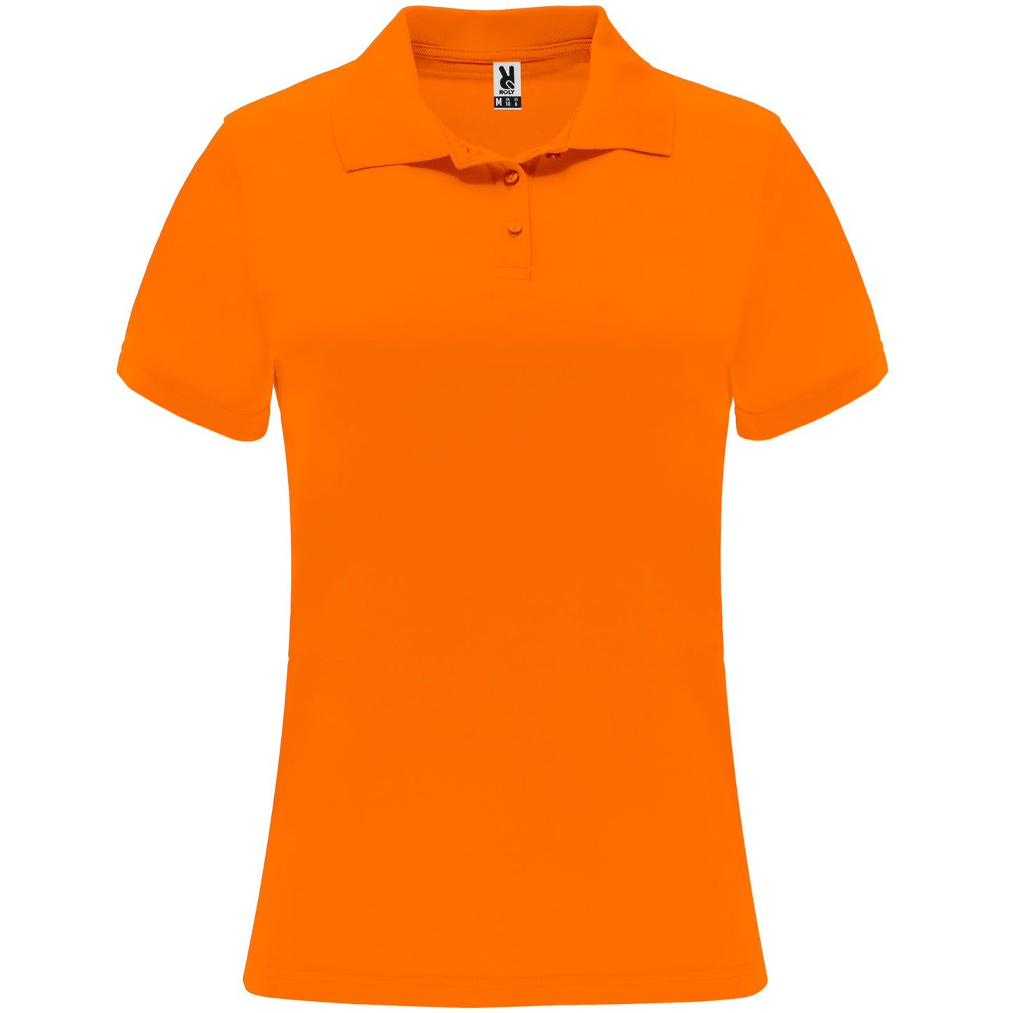 Polo técnico