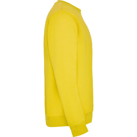 1070 Sudadera en diseño clásico. (NIÑO)