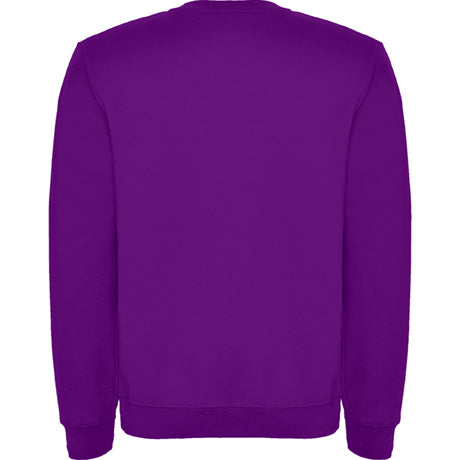 1070 Sudadera en diseño clásico. (NIÑO)