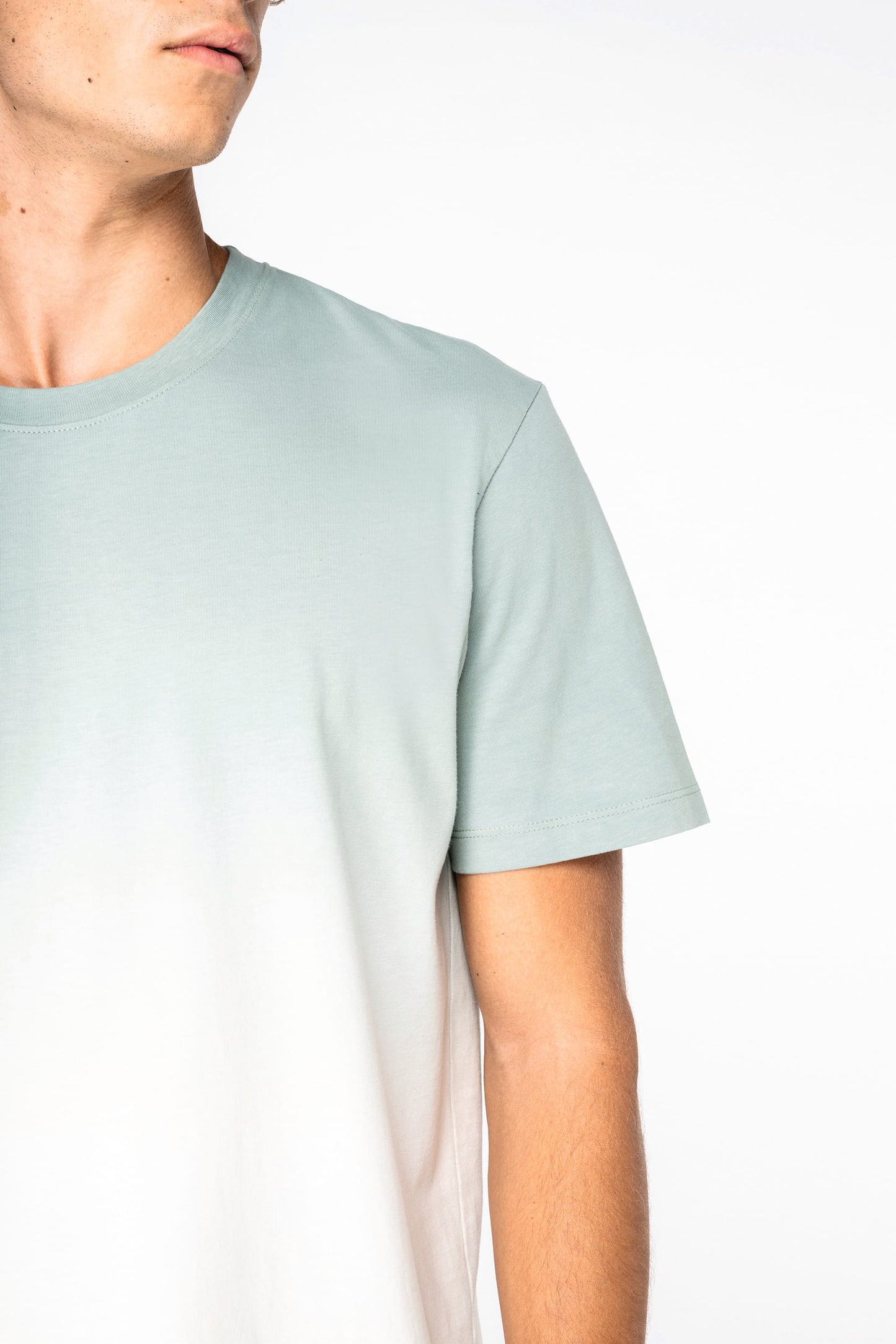 Camiseta ecorresposable Dip Dye unisex Native Spirit NS345
