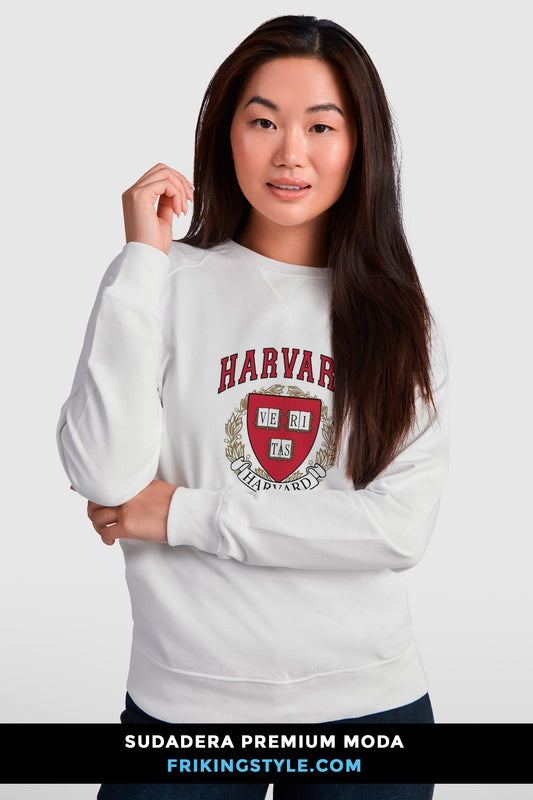 Sudaderas Premium Moda para Grupos.