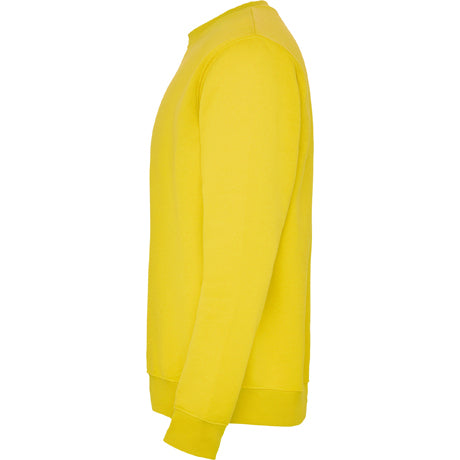 1070 Sudadera en diseño clásico. (NIÑO)