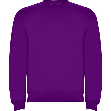 1070 Sudadera en diseño clásico. (NIÑO)
